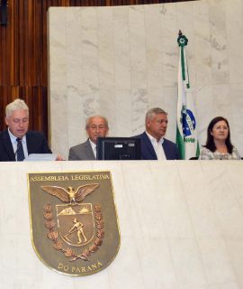 Acadêmica Nilva Amália Pasetto em Seção Solene na Assembleia Legislativa do Paraná